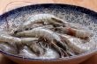Raw prawns