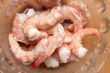 Cooked prawn