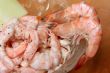 Shrimp cocktail