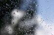 Rain Drops on Window