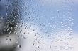 Rain Drops on Window