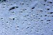 Water Drops on Glass