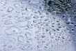 Water Drops on Glass
