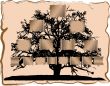 Genealogical tree