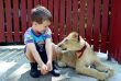 Two lion cubs