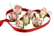 Dead Rosebuds