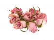 Dead Rosebuds