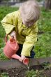 little gardener