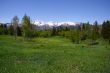 Mountain Spring