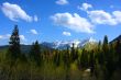 Mountain Spring
