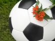 Soccer ball