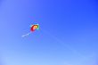 the kite
