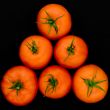 fresh red tomatoes