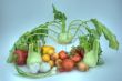 Vegetable HDRI.
