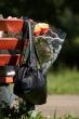 Handbag and bunch of flowers