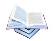Lot of books with english text