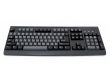 Computer keyboard close-up, isolated