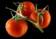 Tomatoes in water