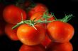 Tomatoes in water