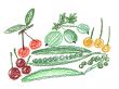 fruit and vegetables