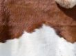 real cow skin texture