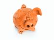 Clay funny piggie