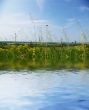 Reflection in a beautiful lake