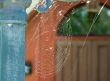 Cobweb