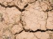 earth texture