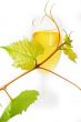 Glass of wine