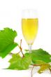 Glass of wine
