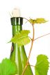 Wine bottle
