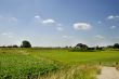 Dutch landscape