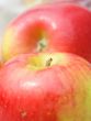 red apples