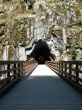 tunnel in a rock