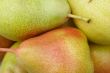 blush pear background