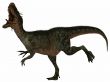 Monolophosaurus-3D Dinosaur