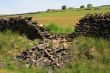 Collapsed Dry Stone Wall