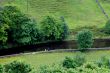 Rochdale Canal