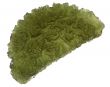 Moldavite