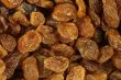 Dried Raisins