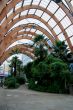 Sheffield Winter Gardens