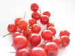 Sweet red currant berries on a white background