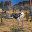 Ostrich-3D Animal