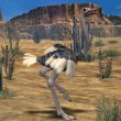 Ostrich-3D Animal