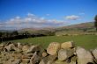 Fields around Hawes