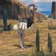 Ostrich-3D Animal