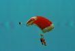 Parachutist