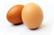 Speckled Egg on white