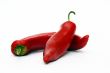 Red chili peppers